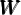 WWW