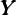 YYY