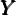 YYY